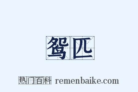 鸳匹是什么意思的图片